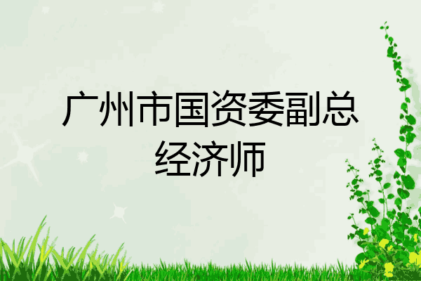 广州市国资委副总经济师