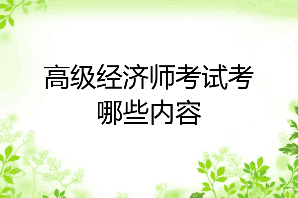 高级经济师考试考哪些内容
