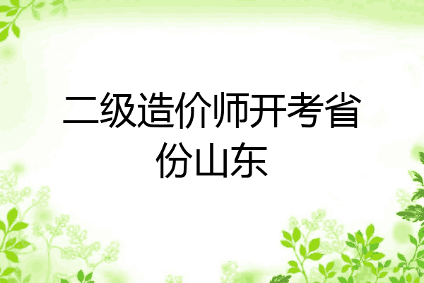 二级造价师开考省份山东