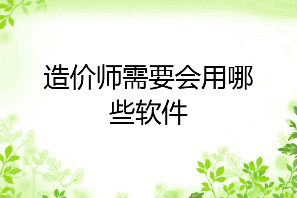 造价师需要会用哪些软件