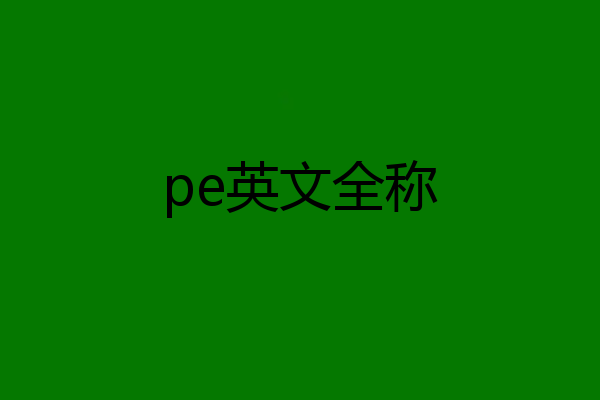 pe英文全称