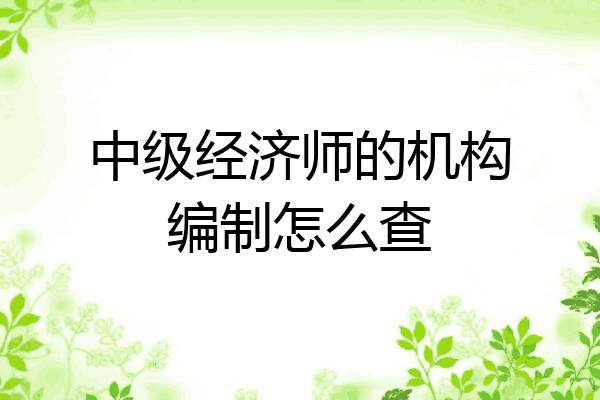 中级经济师的机构编制怎么查
