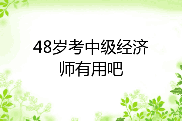 48岁考中级经济师有用吧