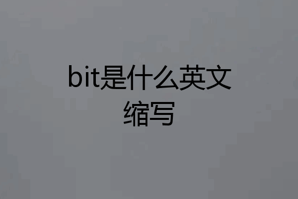 bit是什么英文缩写