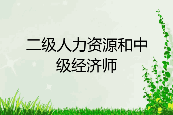二级人力资源和中级经济师