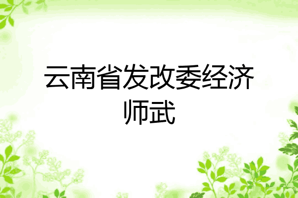 云南省发改委经济师武