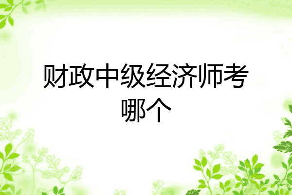 财政中级经济师考哪个
