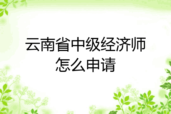 云南省中级经济师怎么申请