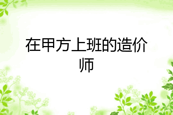 在甲方上班的造价师