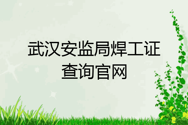 武汉安监局焊工证查询官网