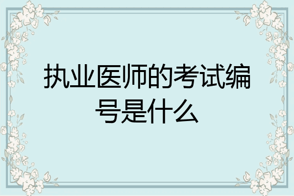 执业医师的考试编号是什么