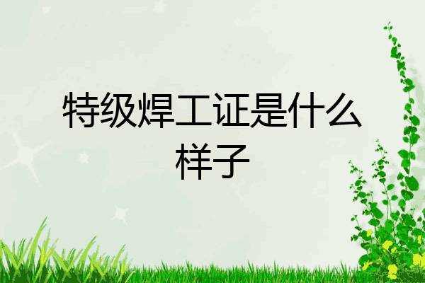 特级焊工证是什么样子