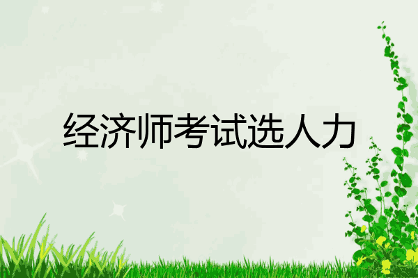 经济师考试选人力
