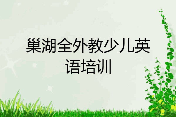 巢湖全外教少儿英语培训