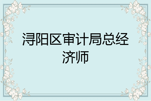 浔阳区审计局总经济师