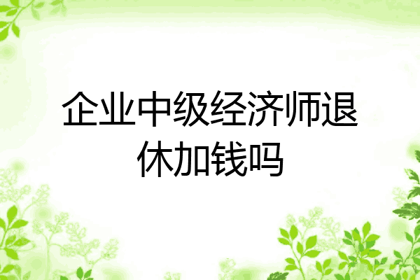 企业中级经济师退休加钱吗