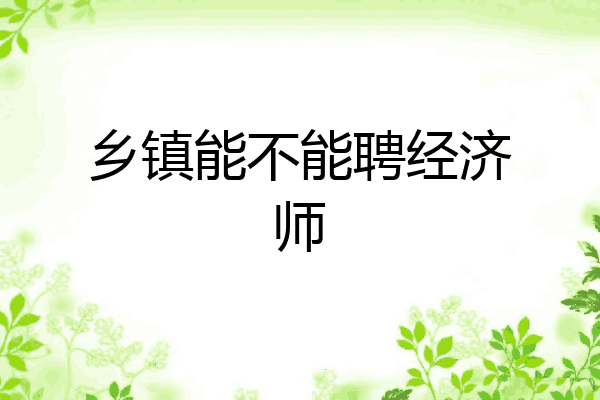 乡镇能不能聘经济师