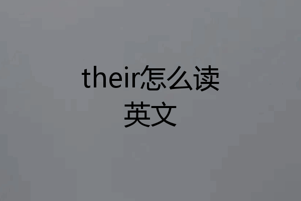 their怎么读英文
