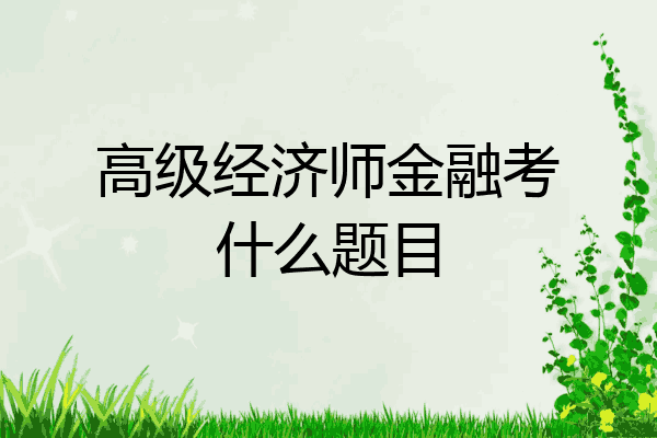 高级经济师金融考什么题目