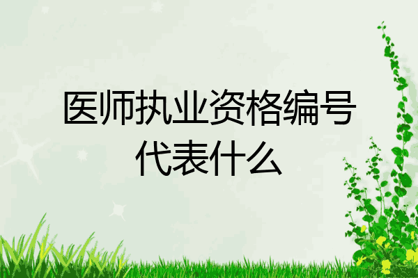 医师执业资格编号代表什么