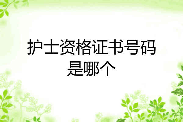 护士资格证书号码是哪个