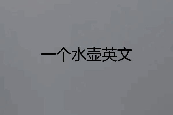 一个水壶英文