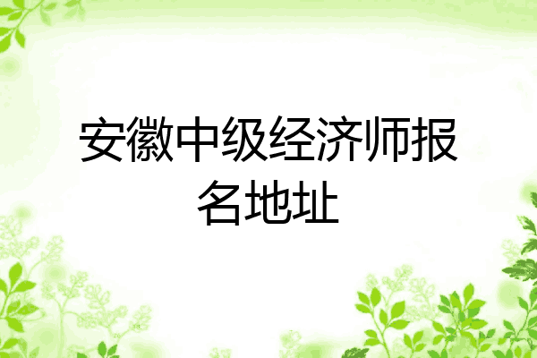 安徽中级经济师报名地址