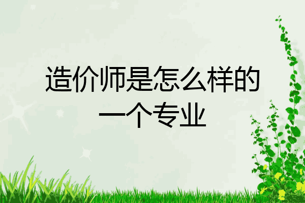 造价师是怎么样的一个专业