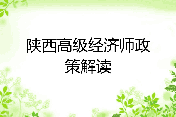 陕西高级经济师政策解读