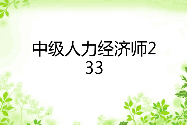 中级人力经济师233