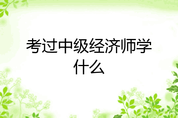 考过中级经济师学什么