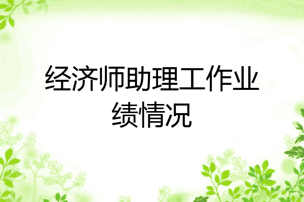 经济师助理工作业绩情况
