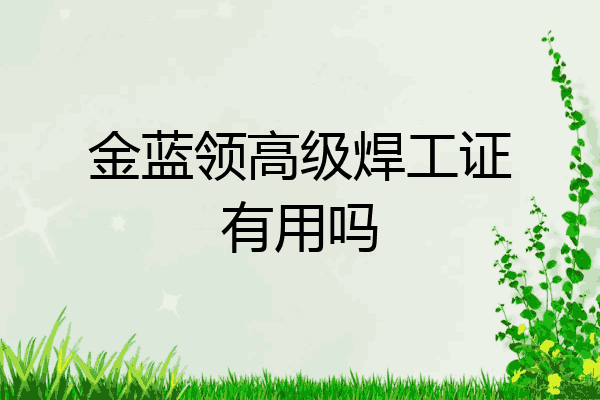 金蓝领高级焊工证有用吗