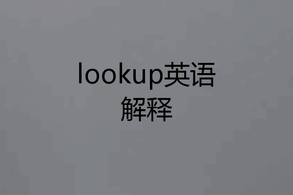 lookup英语解释