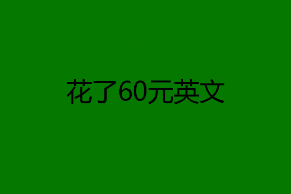 花了60元英文