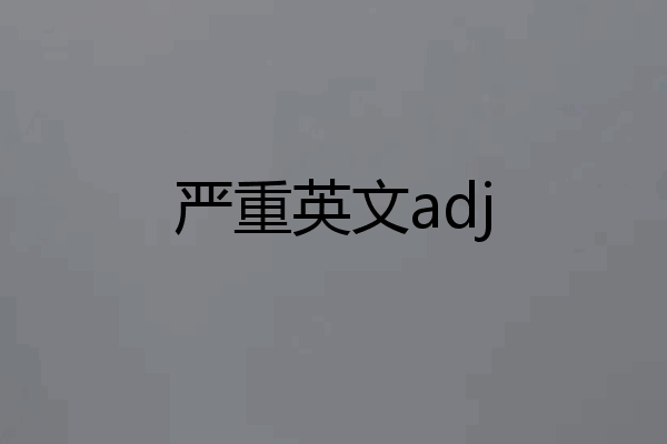 严重英文adj