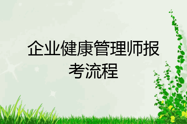 企业健康管理师报考流程