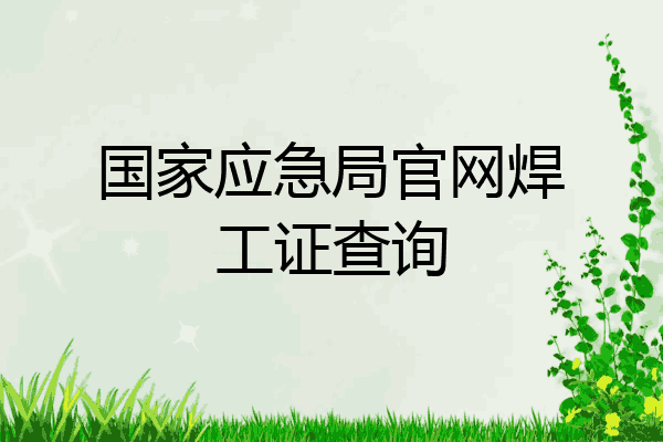 国家应急局官网焊工证查询