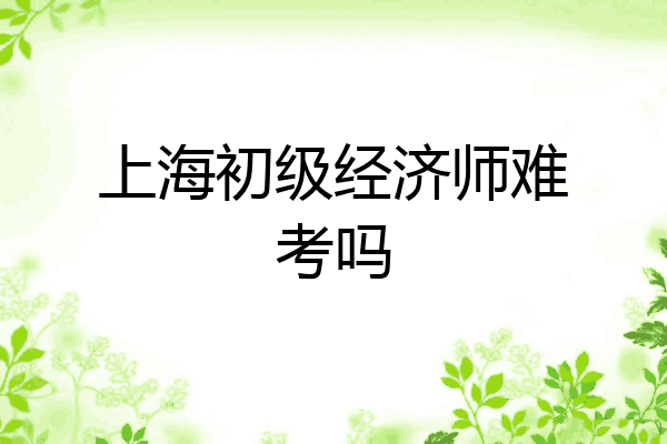 上海初级经济师难考吗