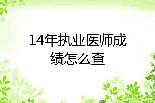14年执业医师成绩怎么查