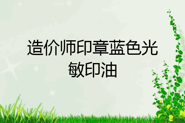 造价师印章蓝色光敏印油