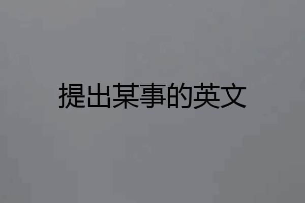 提出某事的英文