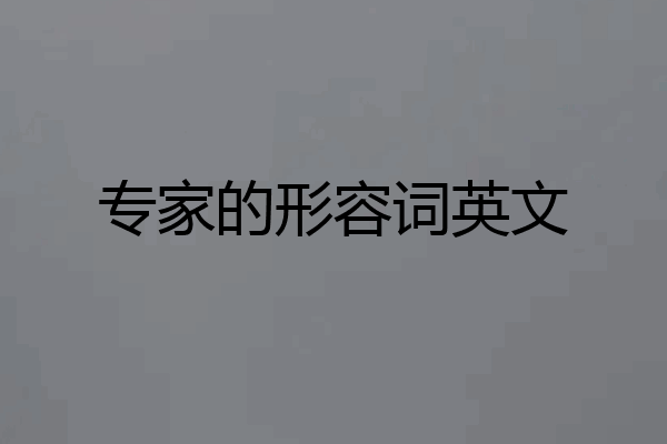专家的形容词英文