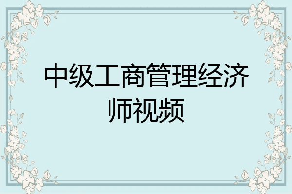 中级工商管理经济师视频