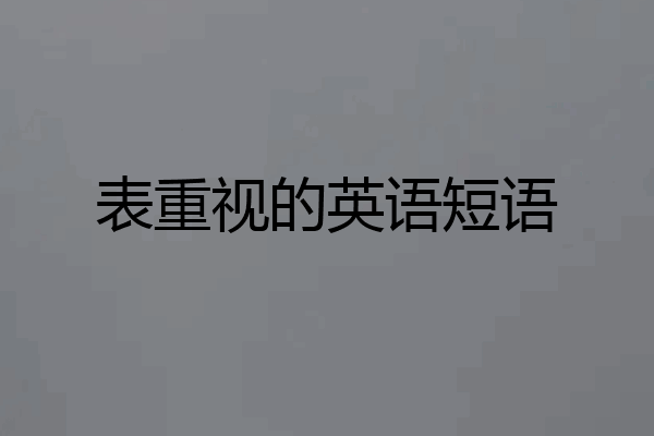 表重视的英语短语