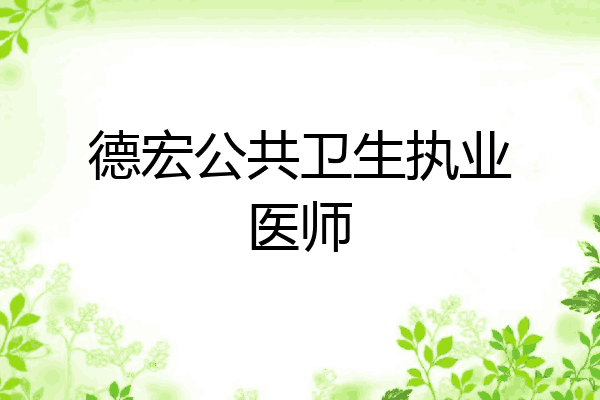 德宏公共卫生执业医师
