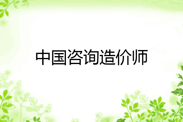 中国咨询造价师