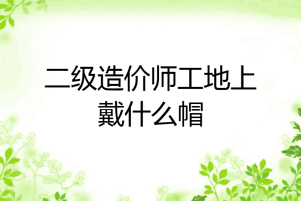 二级造价师工地上戴什么帽