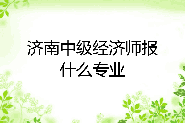 济南中级经济师报什么专业