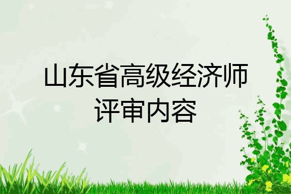 山东省高级经济师评审内容